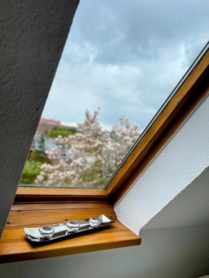 *To Hus* Wohnung Am Rande Von Jever Esterno foto